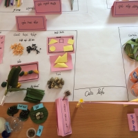 Hội thảo chia sẻ ELM cấp huyện tại Văn Chấn, tỉnh Yên Bái