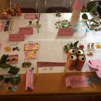 Hội thảo chia sẻ ELM cấp huyện tại Văn Chấn, tỉnh Yên Bái